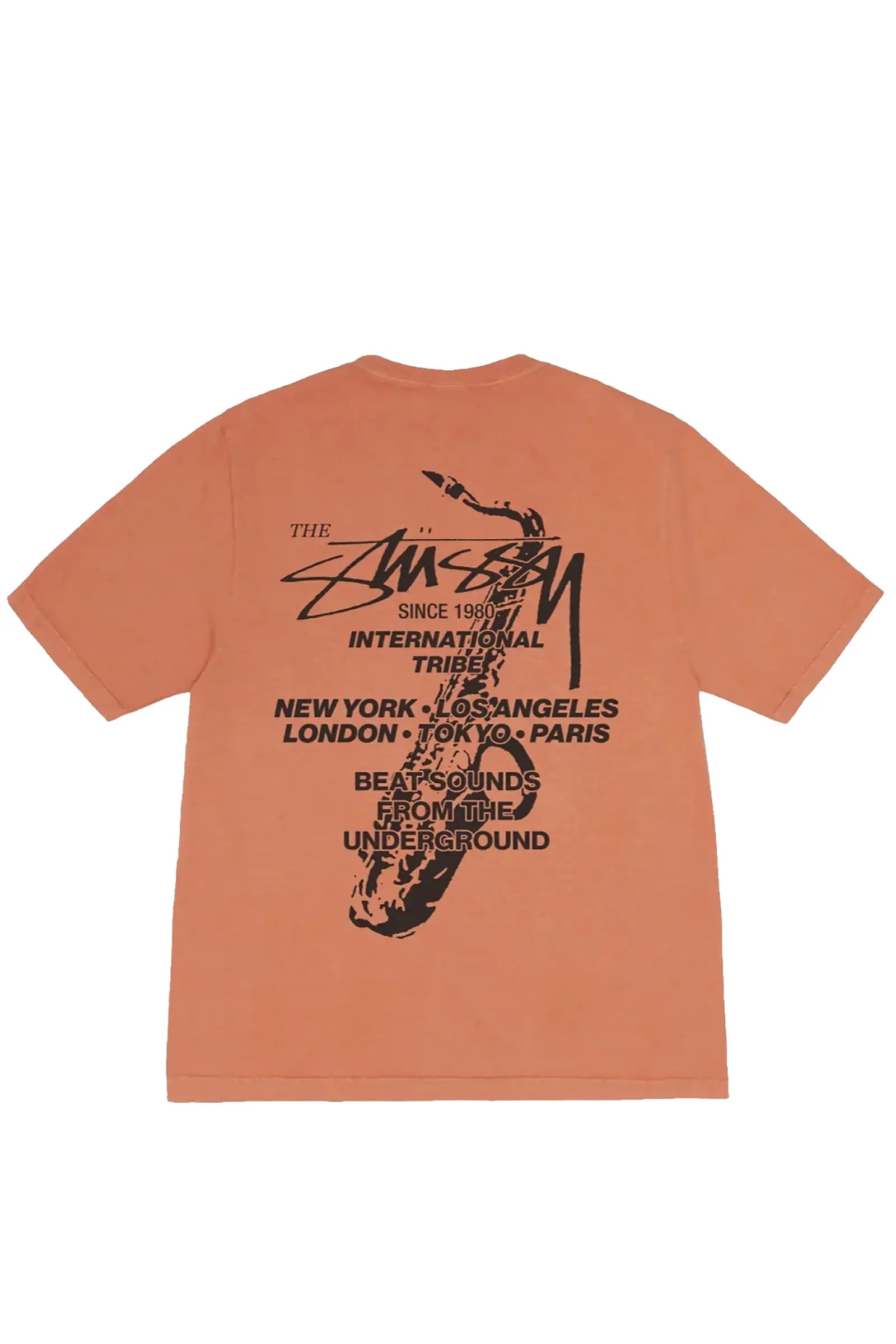 POLERA-stussy-rust-wp